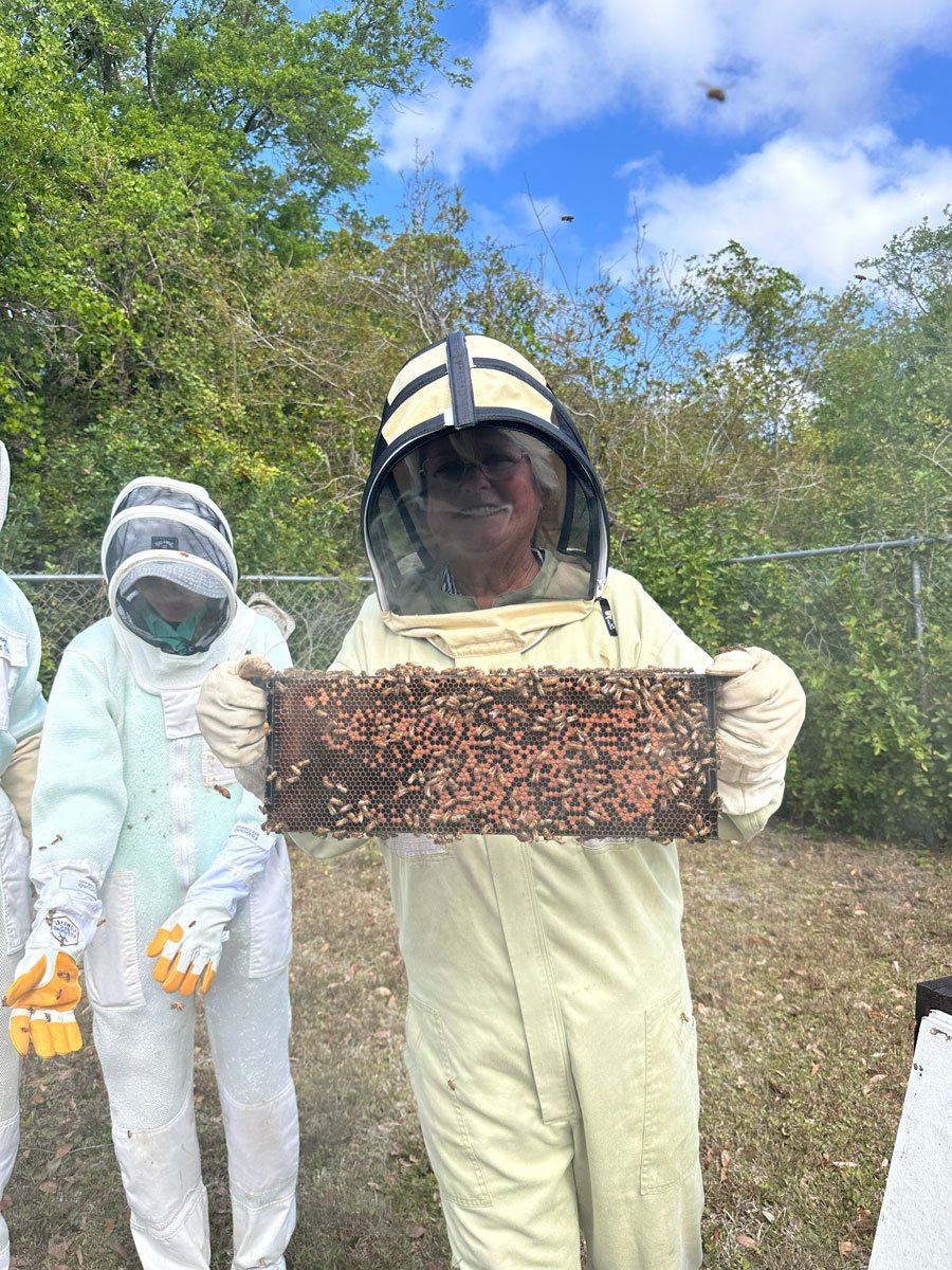 Beekeeper for a Day The Best Beekeeping Experience in Tampa Bay (3)